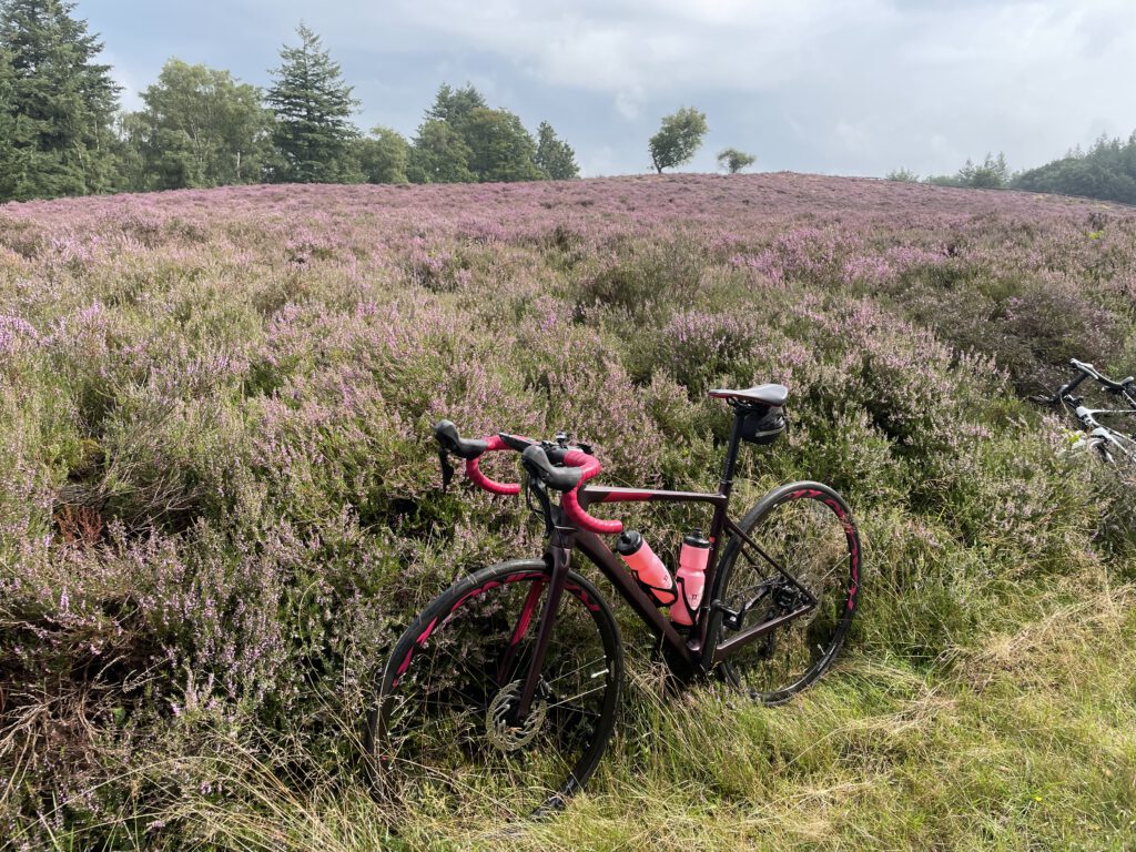 racefiets heide bewegen